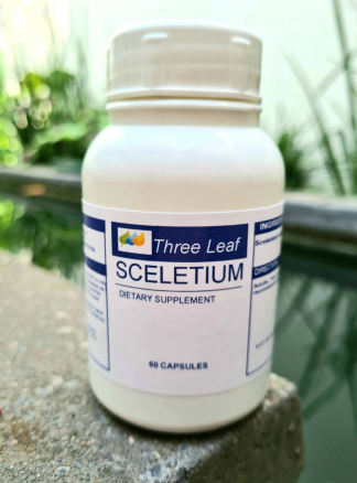 Three Leaf Sceletium