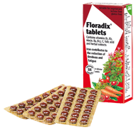 Floradix Liquid Iron and Vitamin Formula 500ml