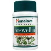 Himalaya Boswellia
