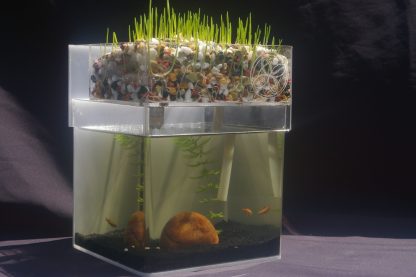 Feelhealthy Mini Aqua Ponic System