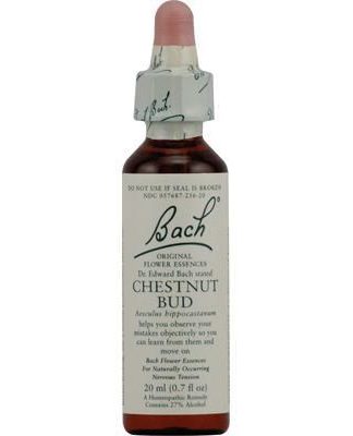 Bach Chestnut bud Feel healthy