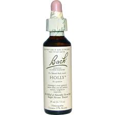 bach remedy Holly