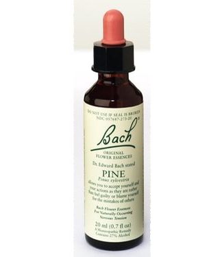 Bach Remedy Pine