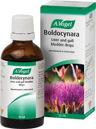 Feel Healthy A Vogel Boldocynara 50ml