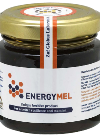 Energymel-2