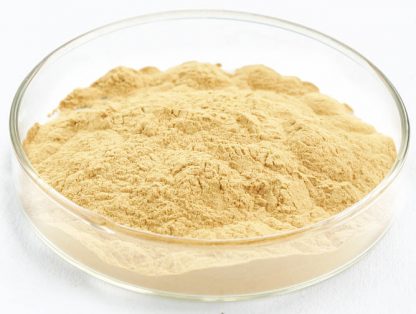 Panax Ginseng Extract 10:1 50g Powder